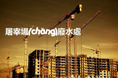 屠宰場(chǎng)廢水處理工藝的創(chuàng)新與以后？